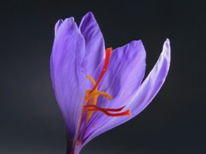 How to get more color and flavor from saffron?