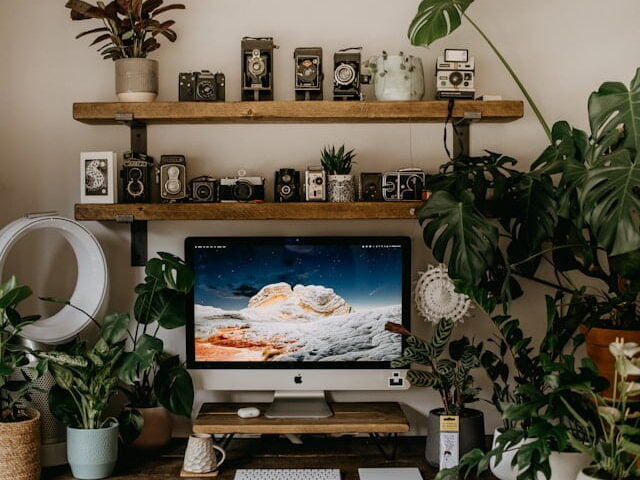  plants in a home office bright life