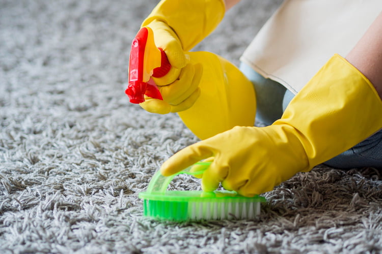 remove stain from rug and carpet