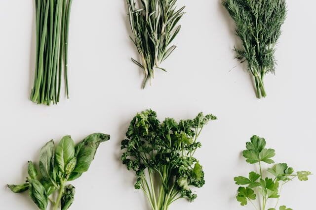 fresh bunch of herbs such as chives, rosemary, dill, cilantro, parsley