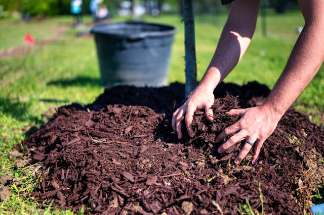 add layer of mulch on garden beds in your summer home maintenance routine