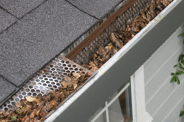 filter on gutter to prevent clogging, good practice for home maintenance