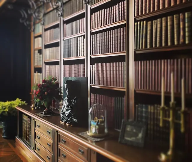 dark academia style book shelve