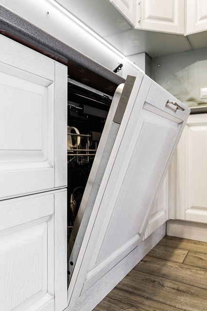 dishwasher with open door 