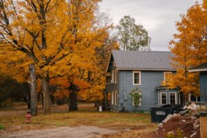 How to Keep Perfect Lawns and Plants Insects Free in Cold Season