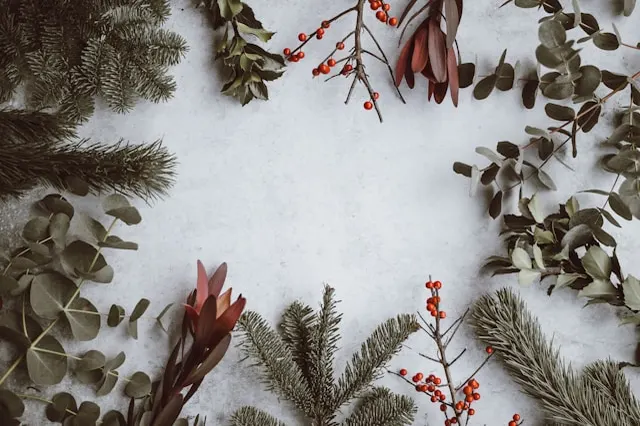 gathering Pin needless, greenery leaves, holly berry branches to make DIY Holiday Wreath