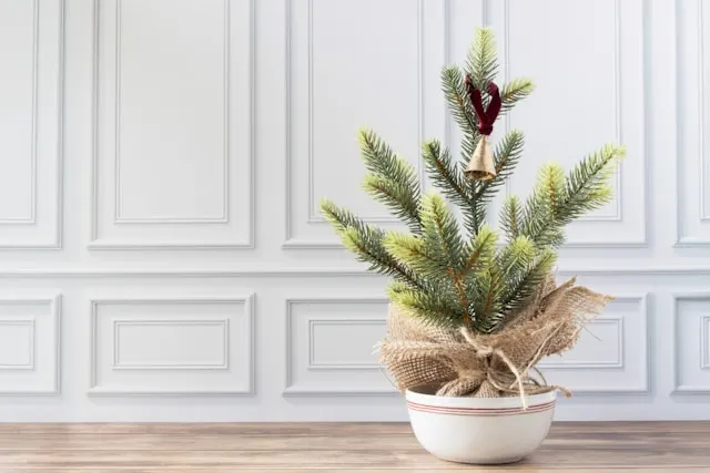 small and minimal X-mass tree for Decorate a small space for the holidays